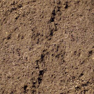 Grade 2 Topsoil
