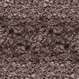 Mushroom Compost